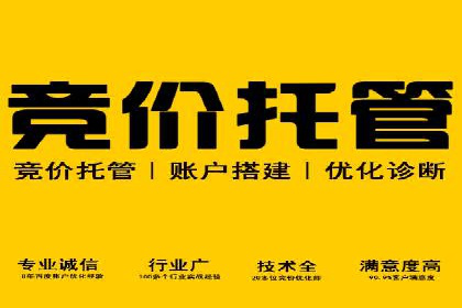 汽车展会的SEM外包广告投放与效果分析